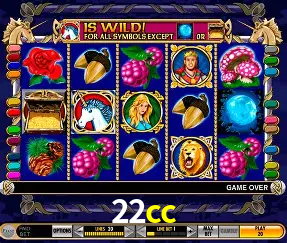 VIP Casino 22cc